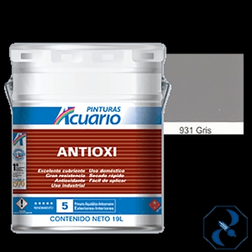 Mostrar detalles de D 1 PRIMER 19 L GRIS ANTIOXI ACUARIO PA93190 Imagen de D 1 PRIMER 19 L GRIS ANTIOXI ACUARIO PA93190