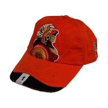 Mostrar detalles de D 1 GORRA PROMOCIONAL POLIFLEX Imagen de D 1 GORRA PROMOCIONAL POLIFLEX