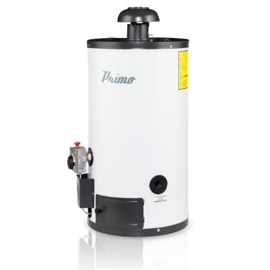 Imagen de D 1 CALENTADOR 38 L. DE AGUA GAS LP ELECTRONICO IUSA PRIMO 217816