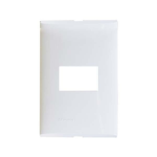Imagen de PLACA 1 MODULO COLOR MARFIL CON CHASIS DE RESINA FZA91M