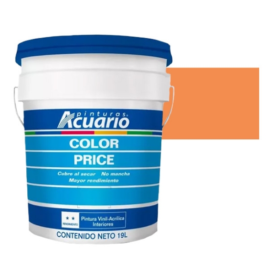 Imagen de VINILICA 19 L NARANJA XCS COLOR PRICE ACUARIO VA81590